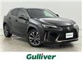 2021 Lexus UX
