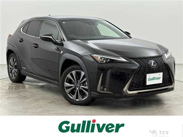 2021 Lexus UX
