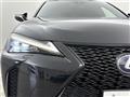 2021 Lexus UX