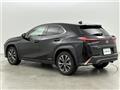 2021 Lexus UX