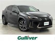 2021 Lexus UX