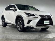 2018 Lexus NX