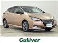 2022 Nissan Leaf
