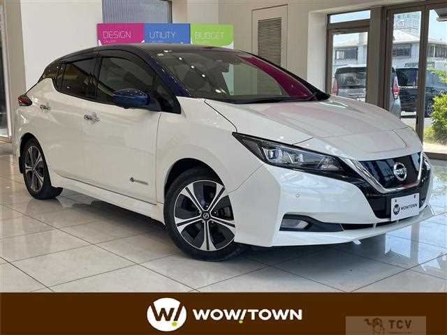 2021 Nissan Leaf