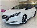 2021 Nissan Leaf