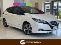 2021 Nissan Leaf