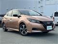 2021 Nissan Leaf
