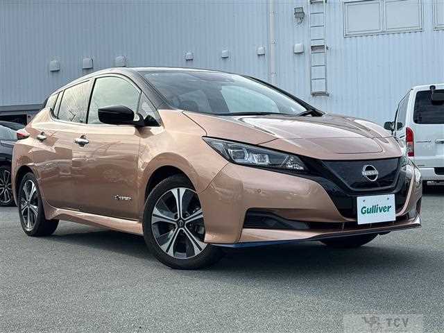 2021 Nissan Leaf