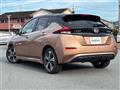 2021 Nissan Leaf