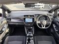 2021 Nissan Leaf
