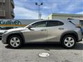 2023 Lexus UX