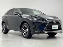 2021 Lexus NX
