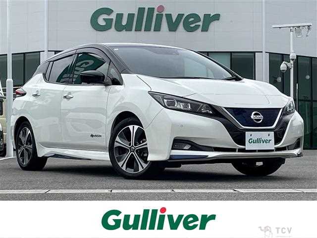 2021 Nissan Leaf