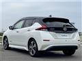2021 Nissan Leaf