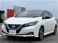 2021 Nissan Leaf