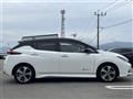 2021 Nissan Leaf