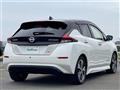 2021 Nissan Leaf