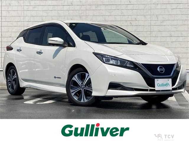 2021 Nissan Leaf