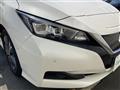 2021 Nissan Leaf
