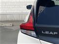 2021 Nissan Leaf