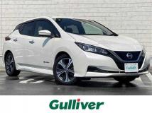2021 Nissan Leaf