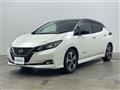 2018 Nissan Leaf