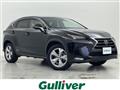 2015 Lexus NX