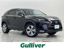 2015 Lexus NX