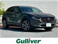 2019 Mazda CX-3