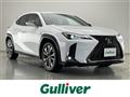 2019 Lexus UX