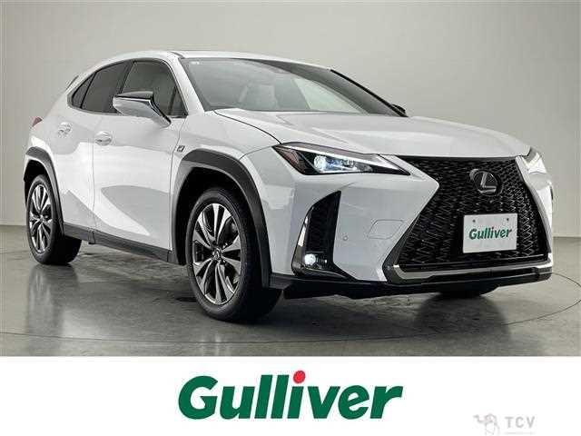 2019 Lexus UX