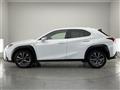 2019 Lexus UX