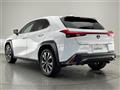 2019 Lexus UX