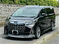 2019 Toyota Alphard G