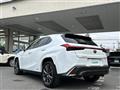 2022 Lexus UX