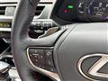 2022 Lexus UX