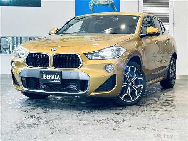 2019 BMW X2