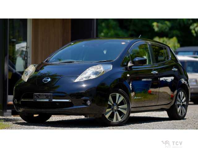 2017 Nissan Nissan Others