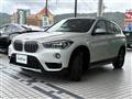 2019 BMW X1