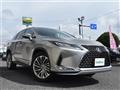 2019 Lexus RX