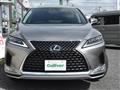 2019 Lexus RX