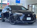 2025 Lexus NX