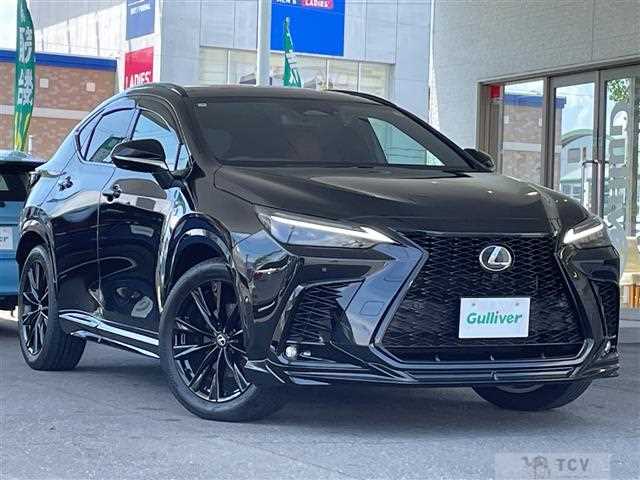 2025 Lexus NX