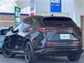 2025 Lexus NX