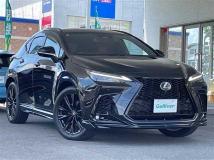 2025 Lexus NX
