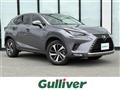 2019 Lexus NX