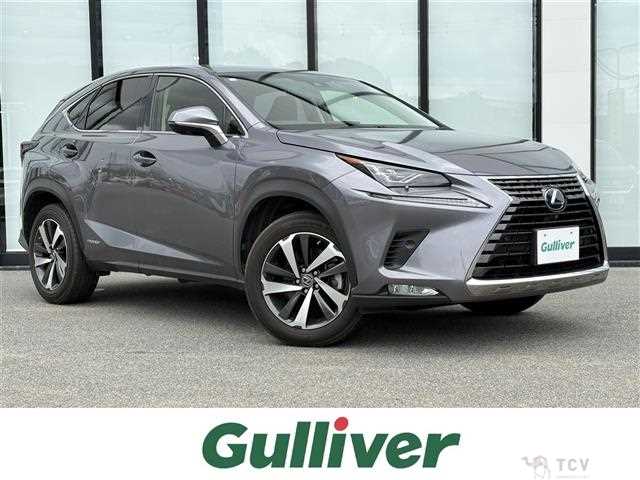 2019 Lexus NX