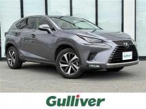 2019 Lexus NX