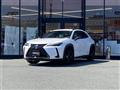 2021 Lexus UX