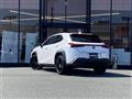 2021 Lexus UX
